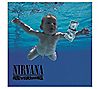 Nirvana Nevermind Vinyl Record
