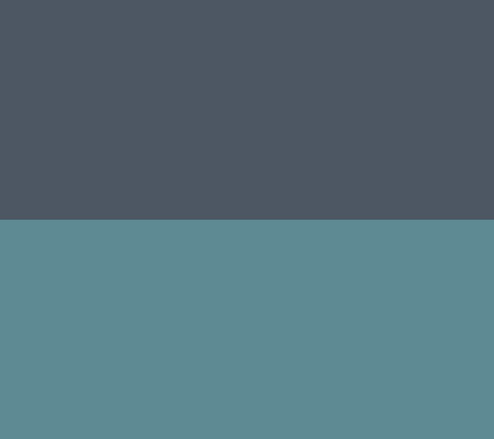 Silver/Capri