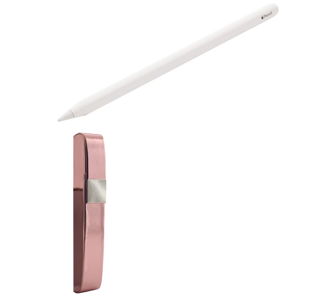 Apple Pencil for iPad 2nd Gen with Software andCarry Case