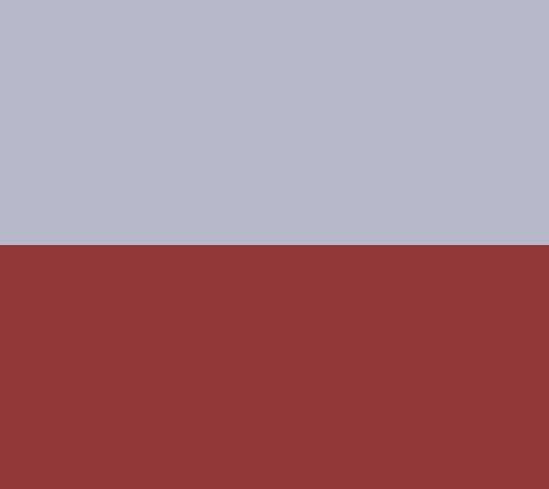 Space Grey/Red