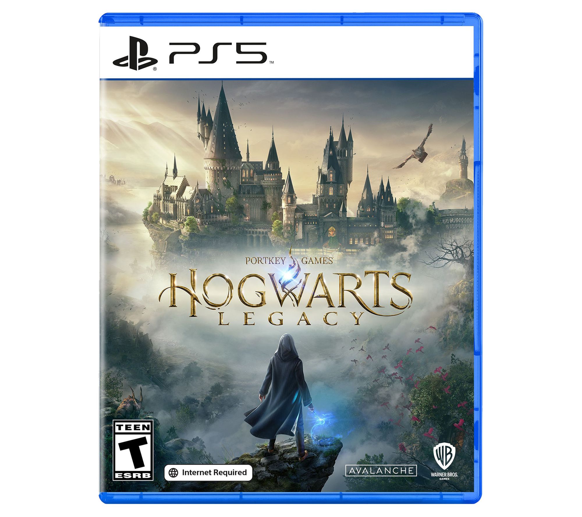 Hogwarts Legacy game bundles: QVC has the new game on PS5 and Xbox consoles