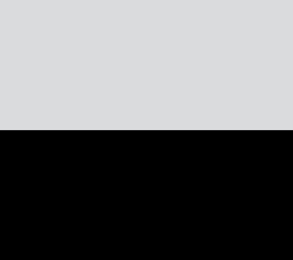 Silver/Black