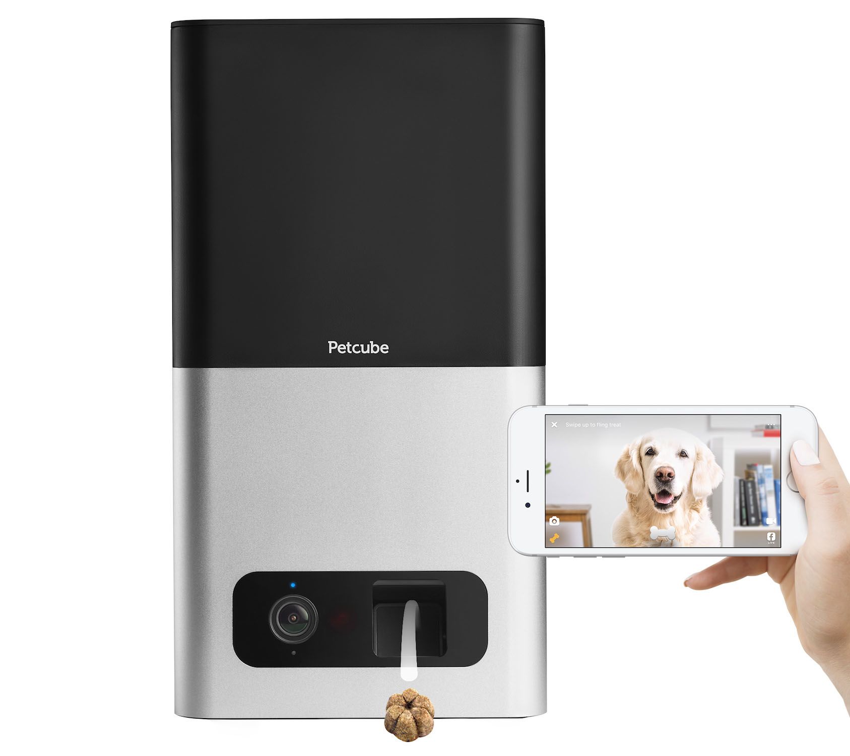 Petcube care outlet