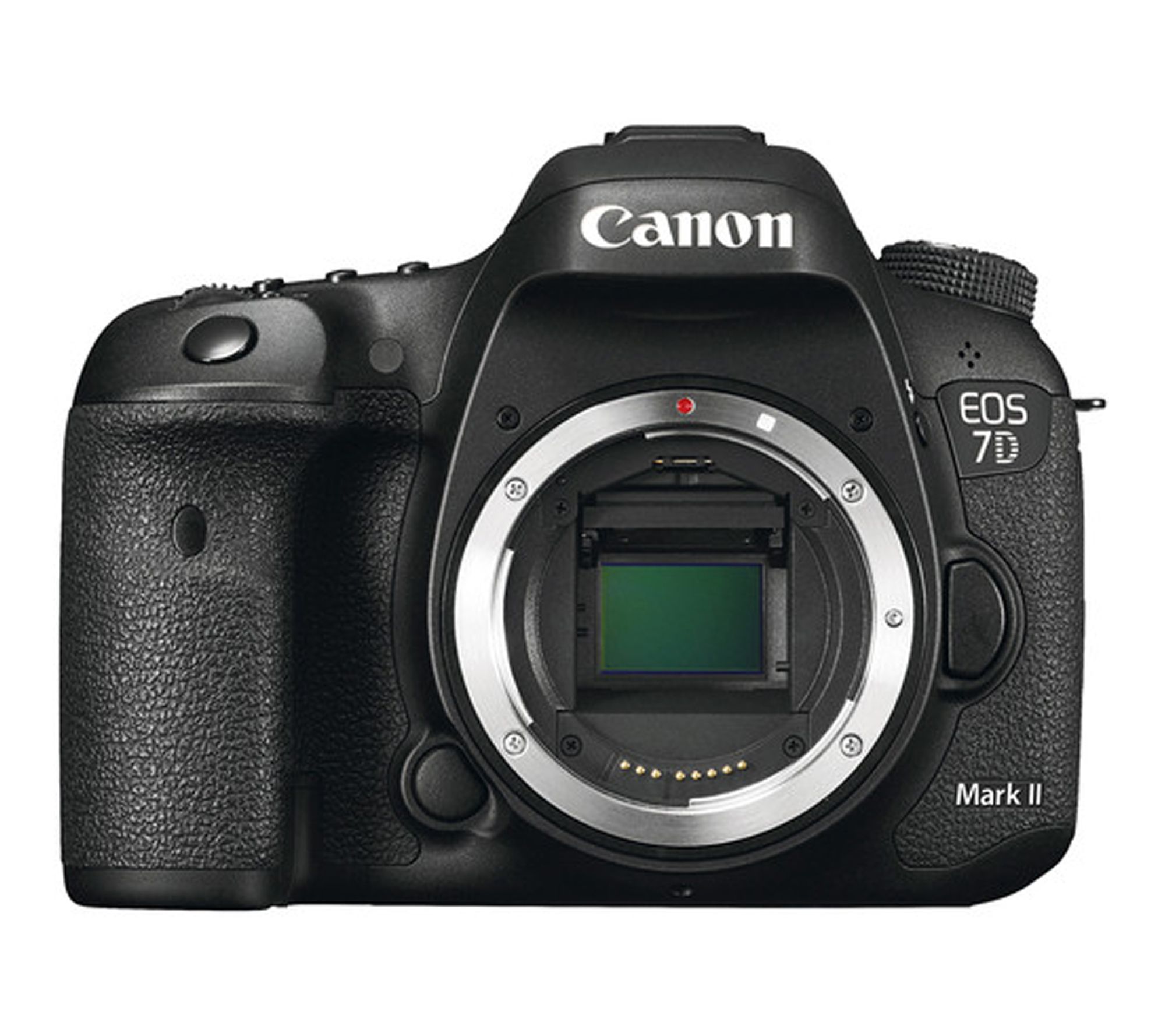 Canon EOS 7D Mark II Body Only Bundle