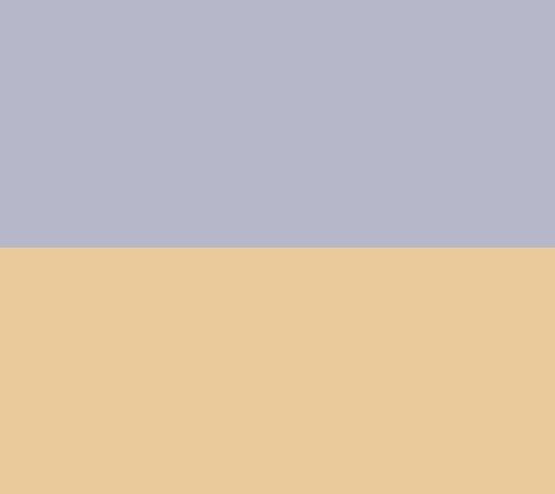 Space Grey/Gold