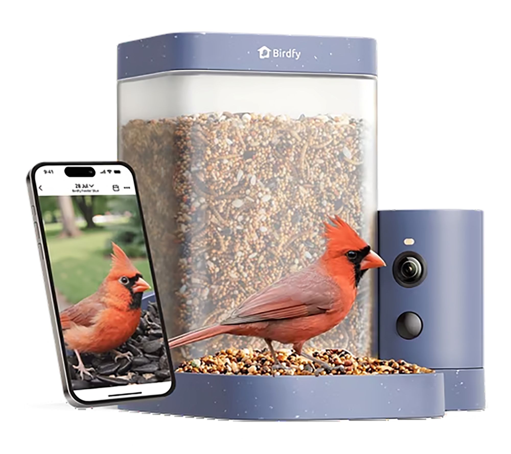 Birdfy Feeder Rookie Blue Lite