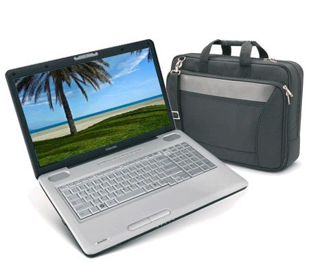 Toshiba bag outlet