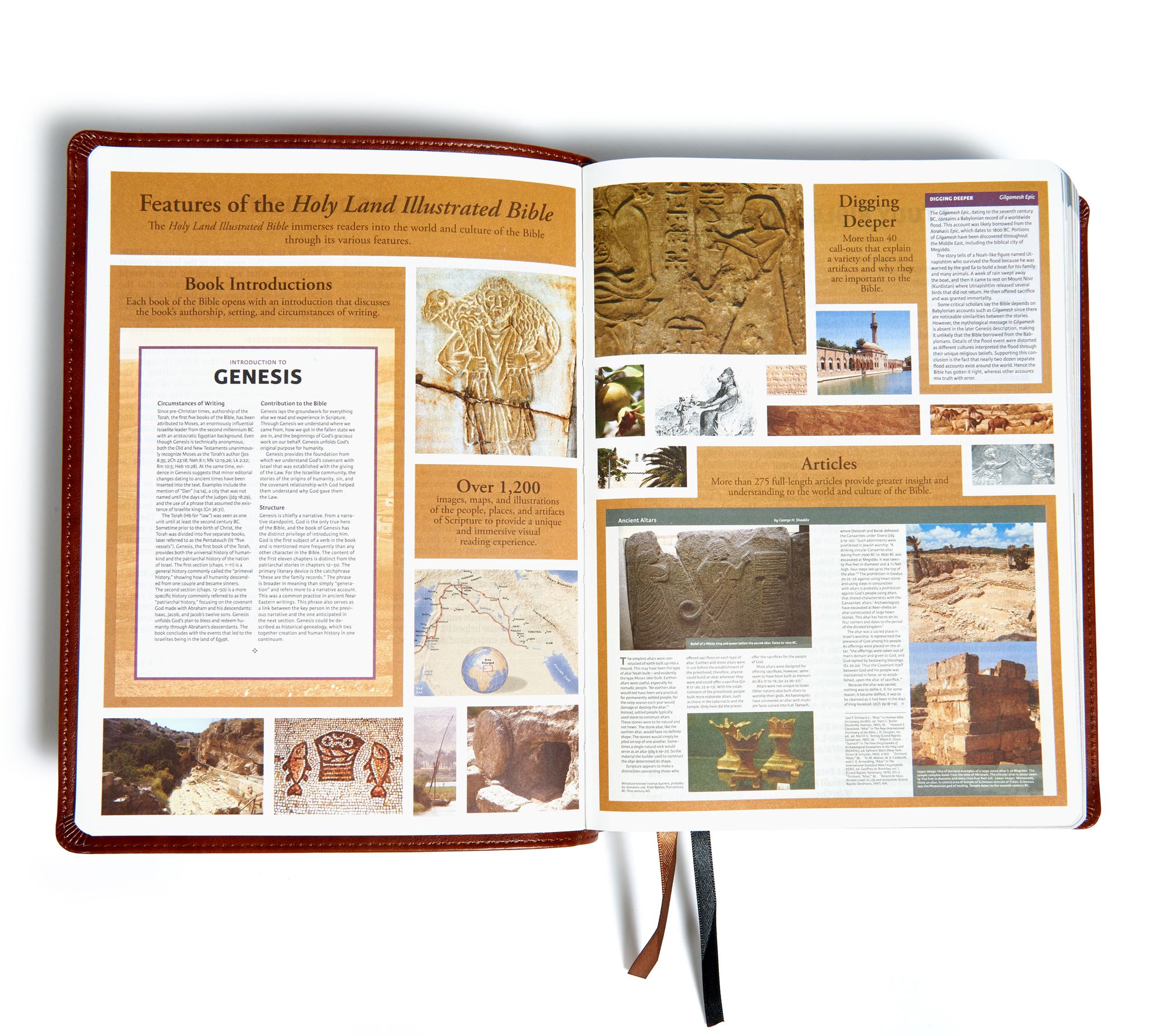 Lifeway Holy Land Illustrated Bible with Imagery & Maps 