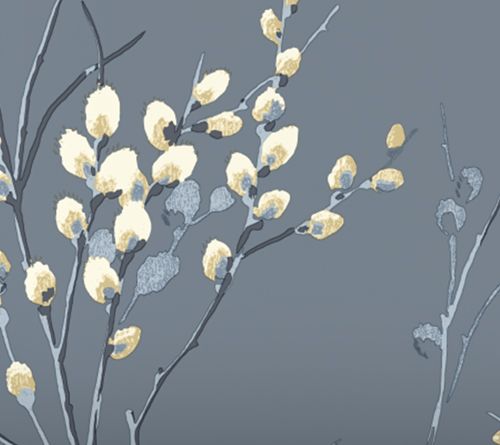 Pussy Willow