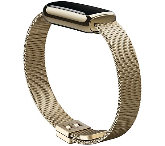 Fitbit Luxe Stainless Steel Mesh Accessory Band