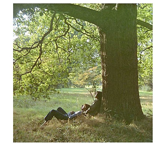 John Lennon Plastic Ono Band (2 LP) Vinyl Recor d