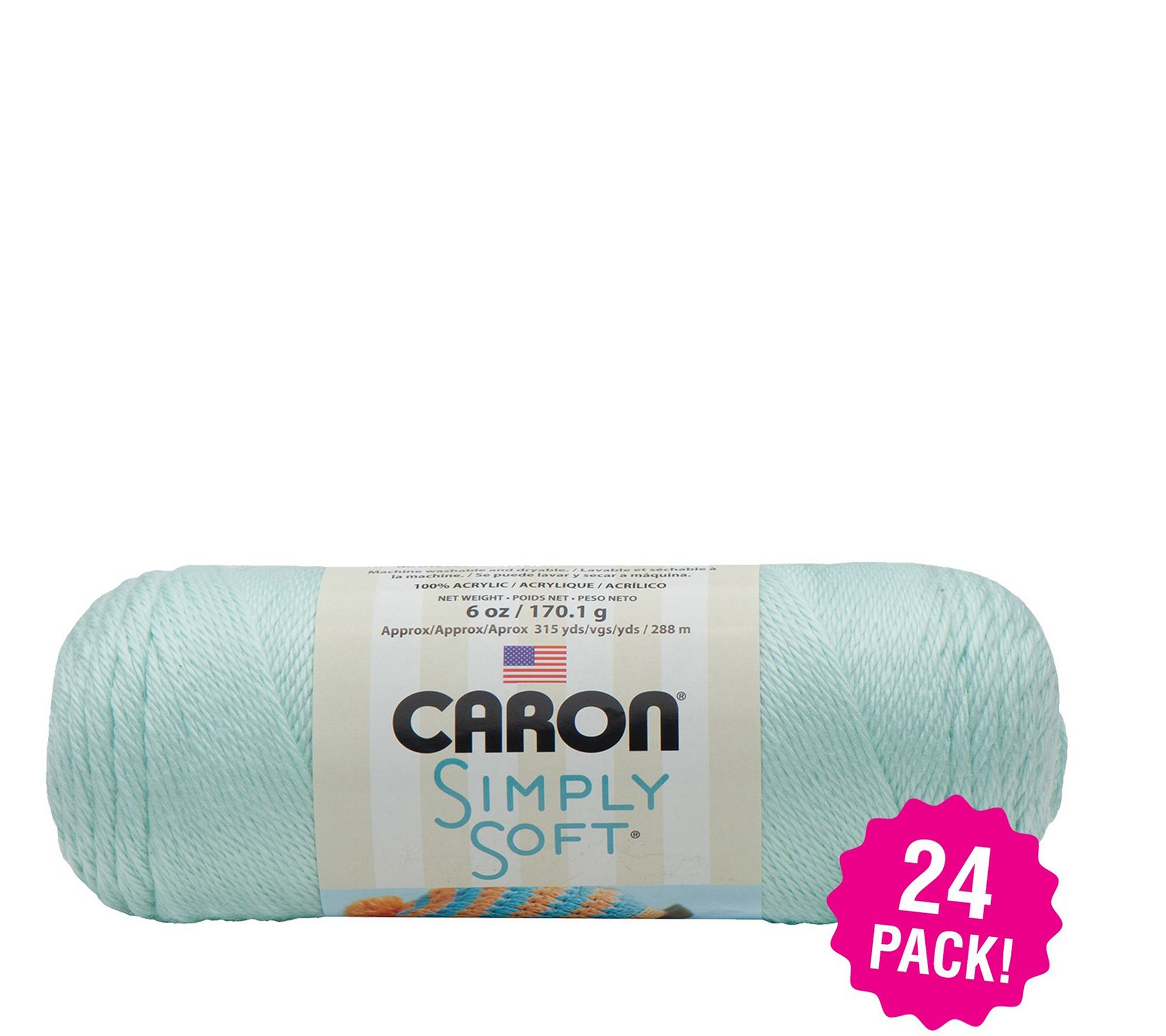 Caron Simply Soft Multipack of 24 Soft Green Solids Yarn 