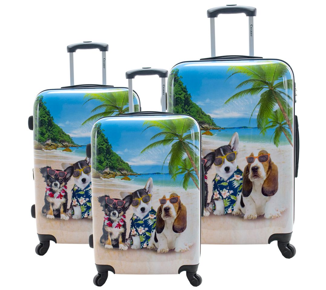 qvc luggage