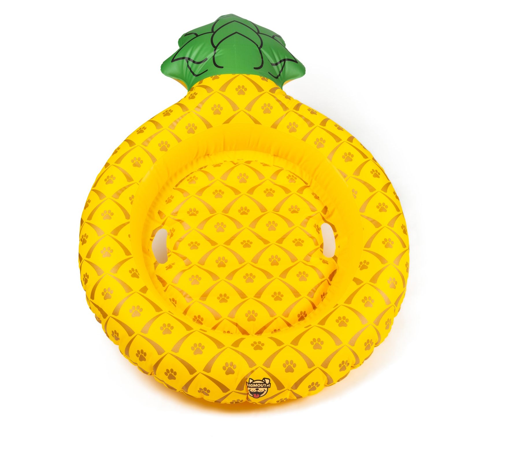 Big Mouth Pineapple Dog Float