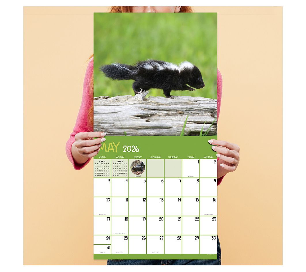 TF Publishing Wall Calendar