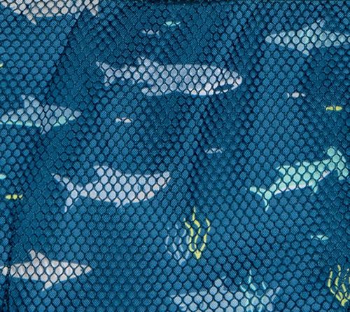 Shark