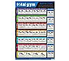 Total Gym Wall Chart with 35 Exercises