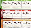 Total Gym Wall Chart with 35 Exercises, 1 of 1