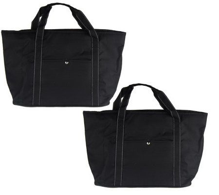 Set of 2 Insulated Carry All Tote Bags - Page 1 — QVC.com