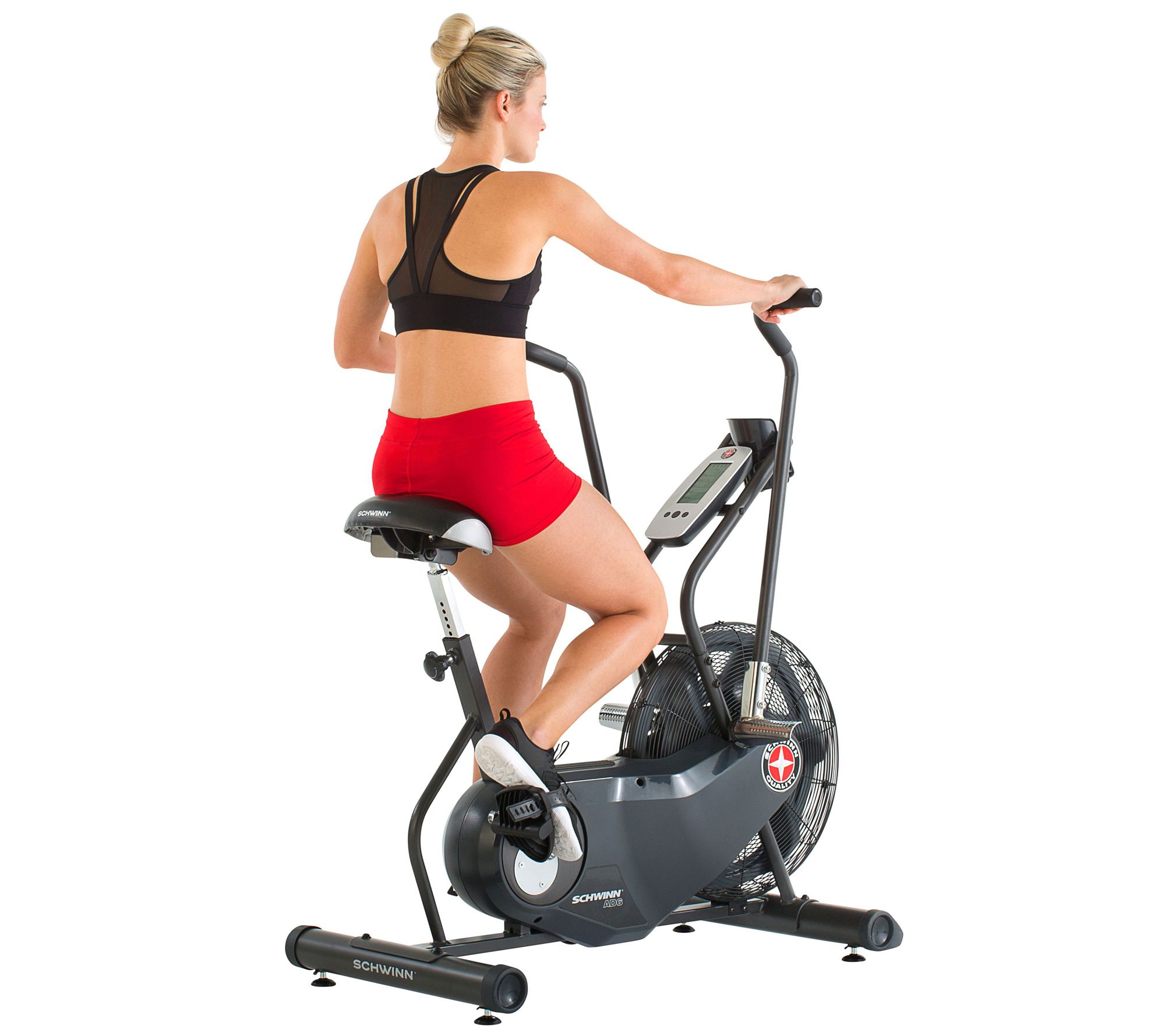 Schwinn Airdyne AD6 Upright Exercise Bike