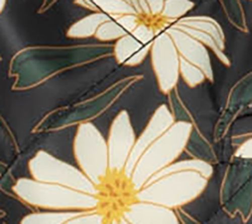 Autumn Daisies
