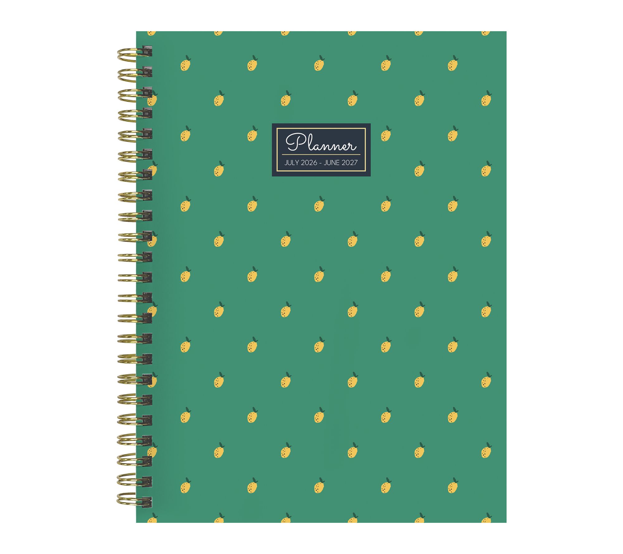 TF Publishing Lovely Lemon Medium Weekly Monthly Planner