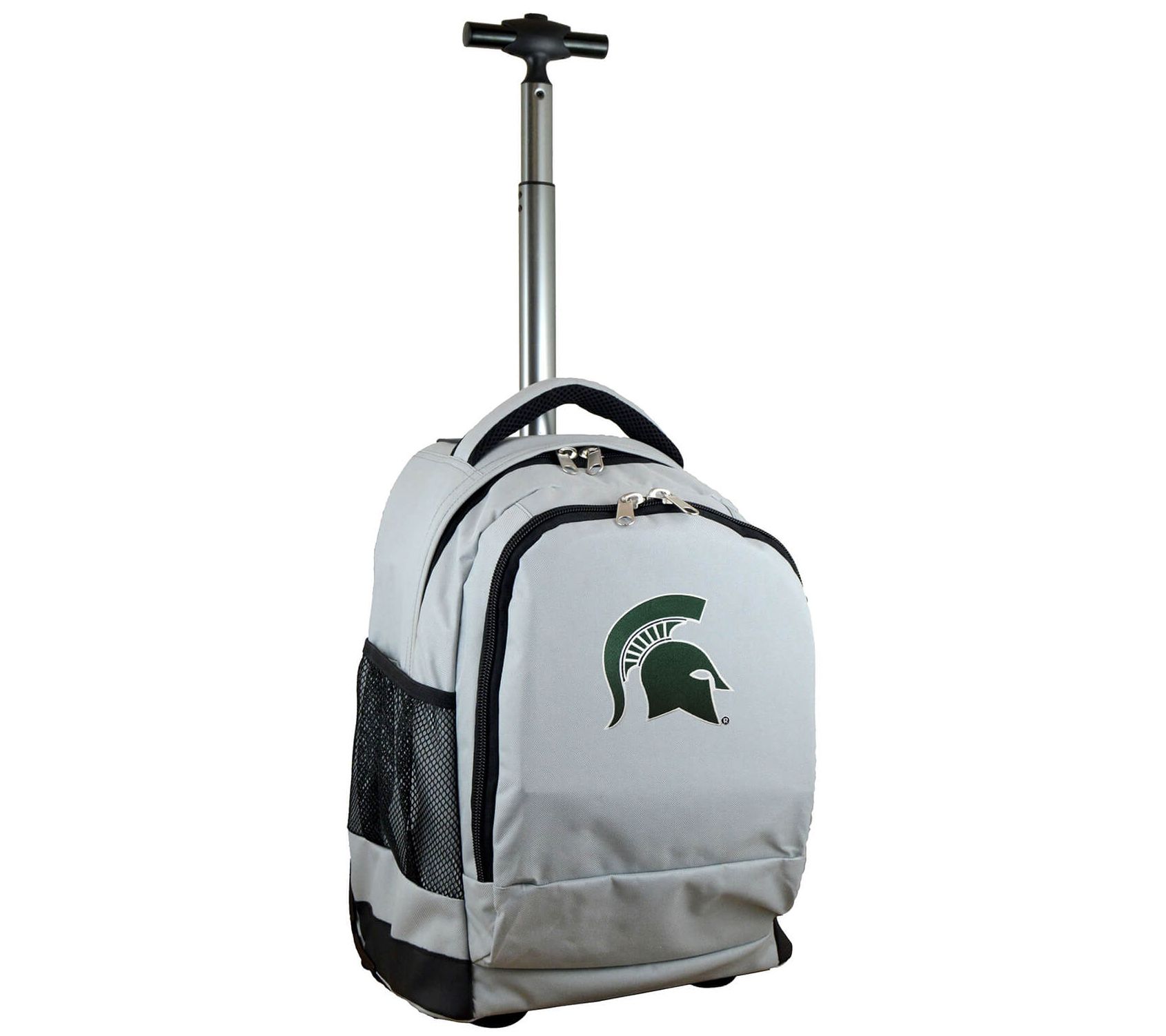 Michigan State