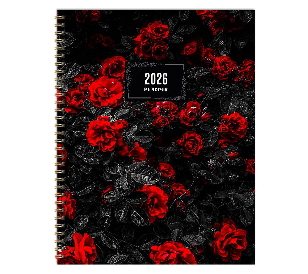 TF Publishing 2026 Large Weekly Monthly Planner