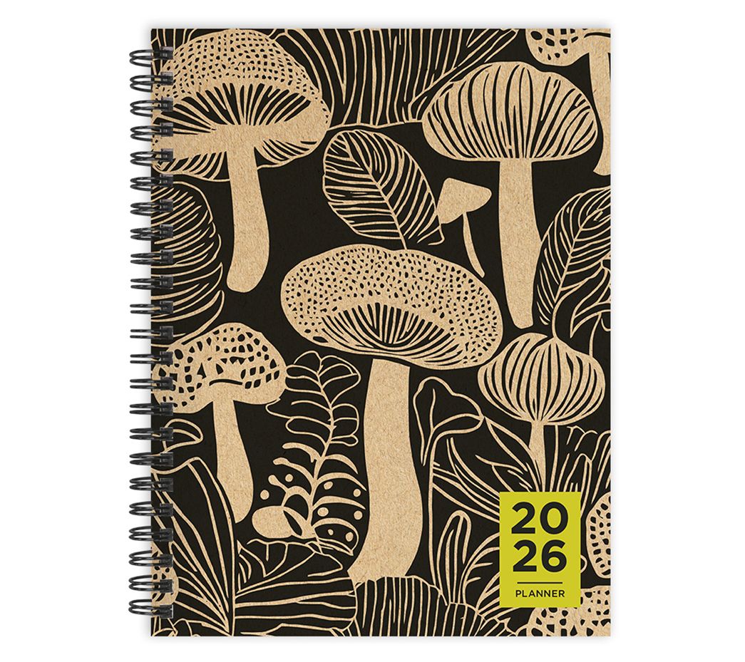 TF Publishing Medium Weekly Monthly Planner