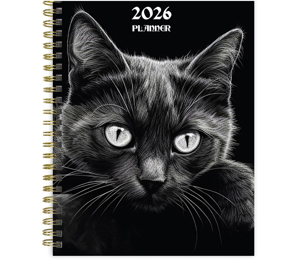 TF Publishing Medium Weekly Monthly Planner