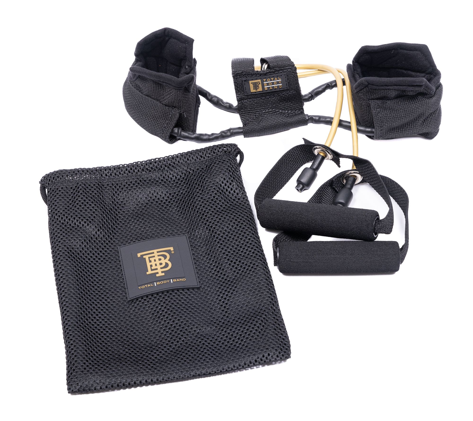 Total Body Bands Resistance Training w Bag & Wall Chart