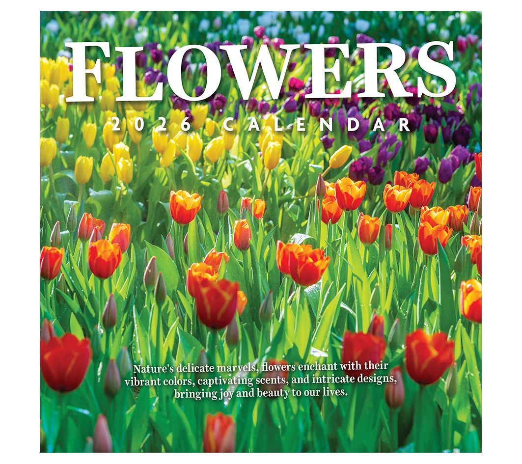 TF Publishing 2026 Scenic Wall Calendar