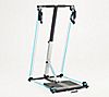 Home Gym SyncFlex Total Body Workout w/ DVD and Wall Chart