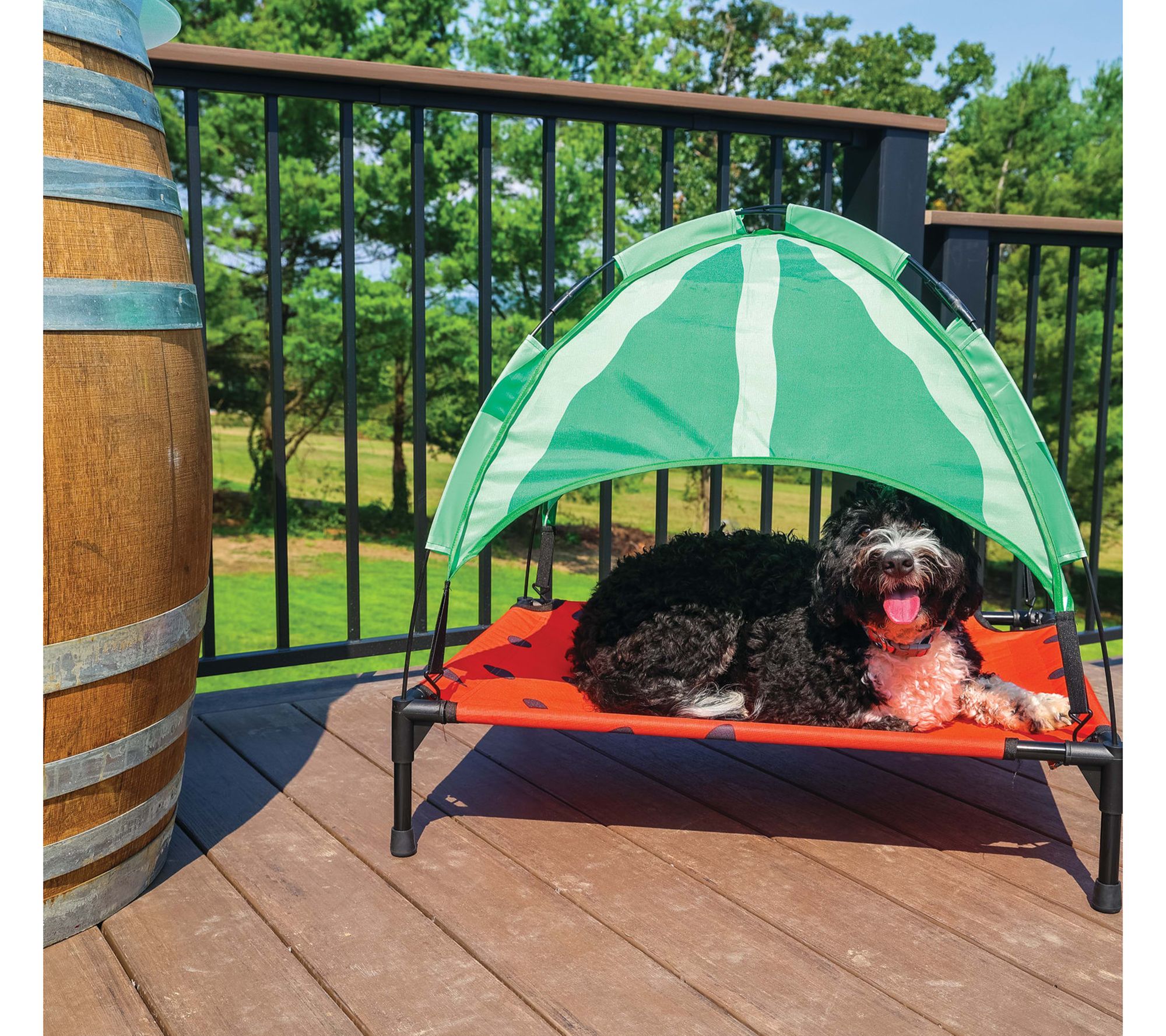 Big Mouth Medium Watermelon Outdoor Pet CanopyBed