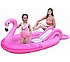 83" Inflatable Pink Flamingo Kiddie Pool with S prayer, 1 of 1