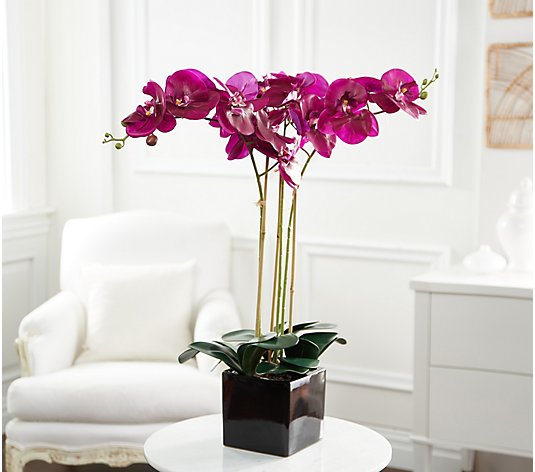 Luxe Rachel Zoe Real Touch 3-Stem Orchid with Ceramic Pot