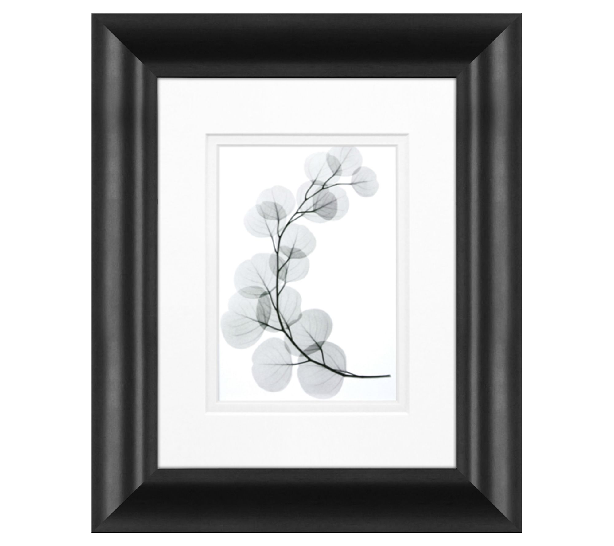Eucalyptus Framed Art by Timeless Frames and Decor