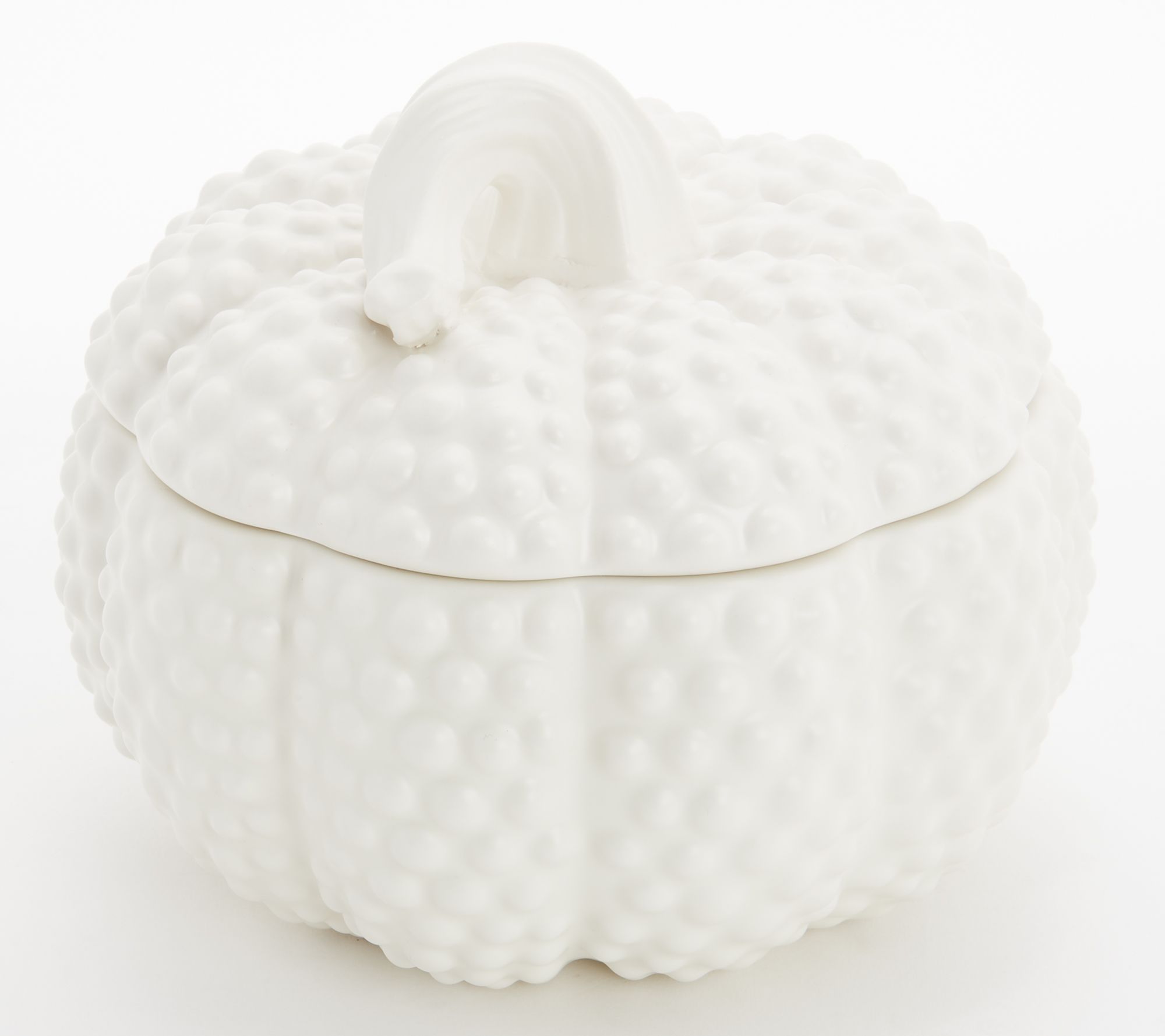 HomeWorx by Slatkin & Co. White 14oz Filled Hobnail Pumpkin Candle
