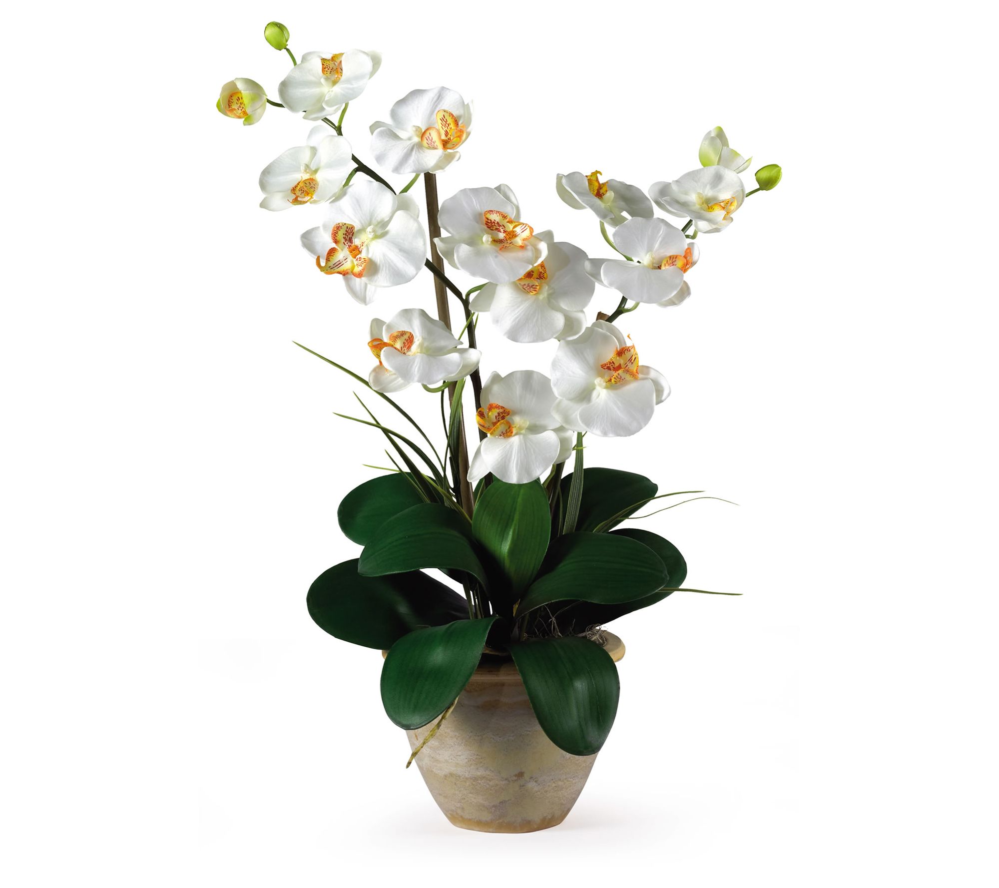 Nearly Natural Double Stem Phalaenopsis Silk Arrangement
