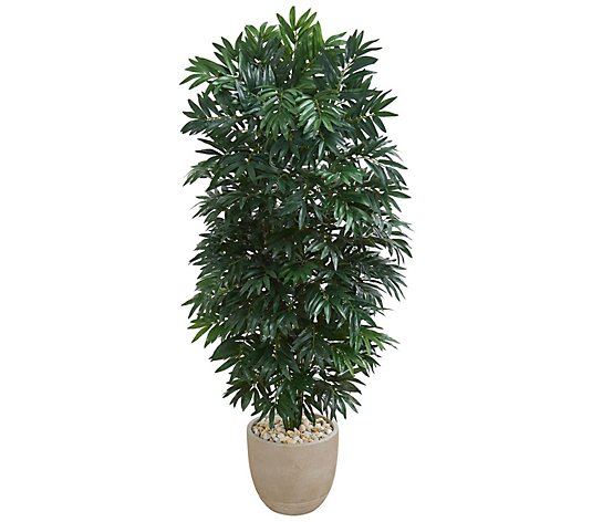 5' Double Bamboo Palm Plant in Planter by Nearly Natural