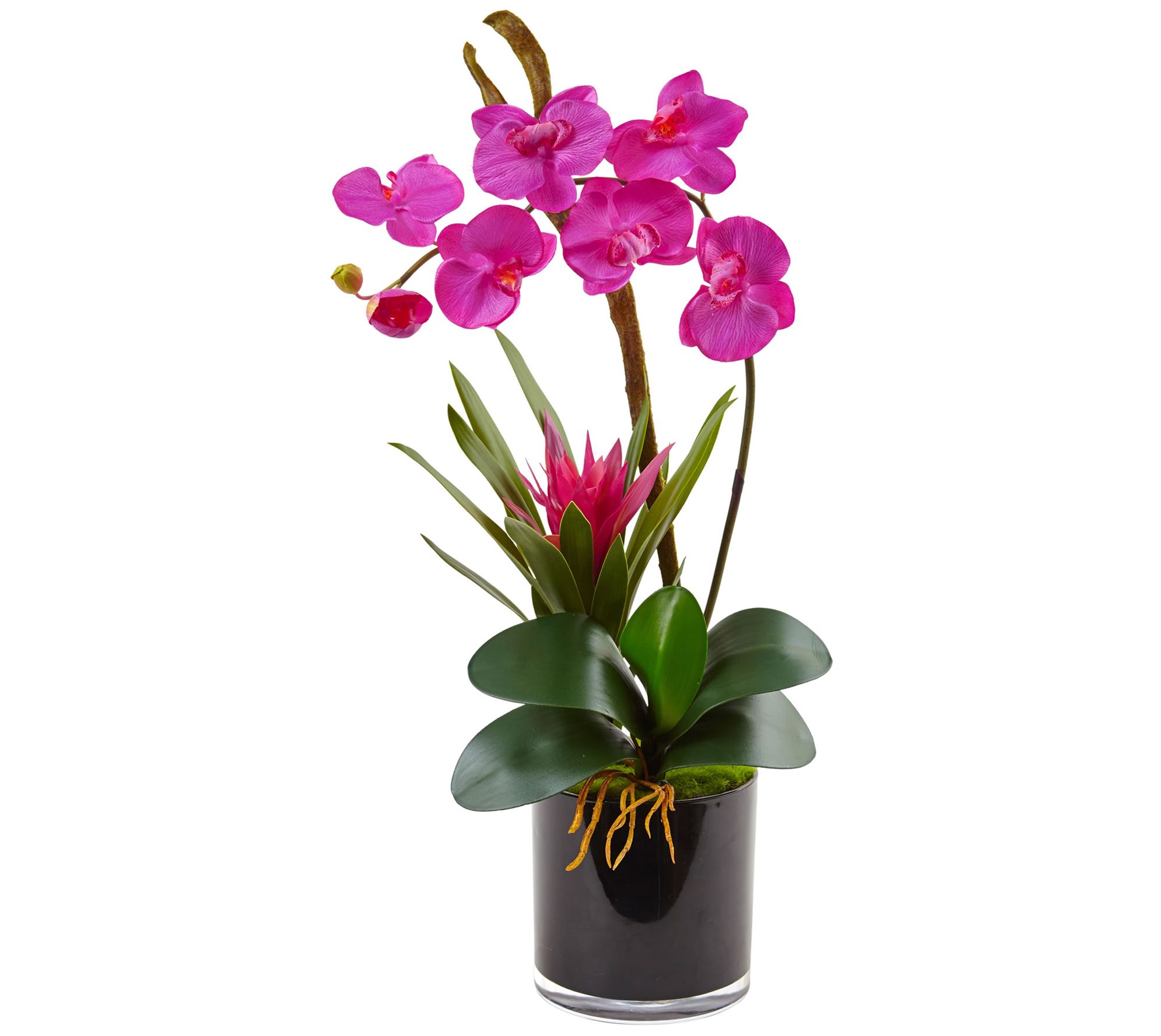 26" Orchid & Bromeliad in Glossy Cylinder by Nearly Natural