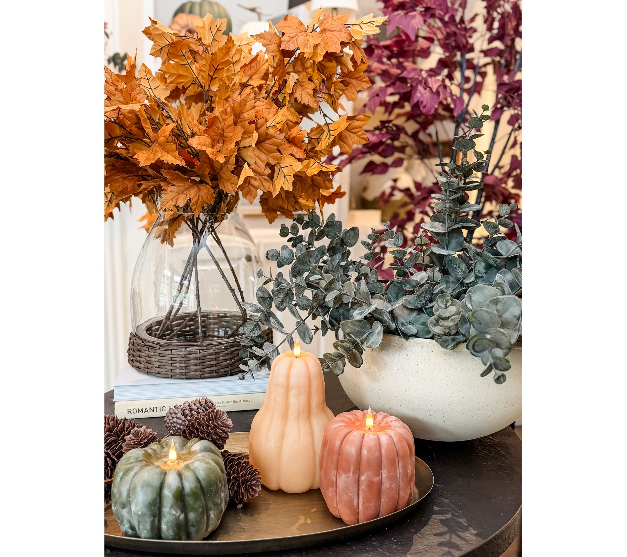 Simply Stunning Set of 6 Real Touch Fall Leaves by Janine Graff | QVC
