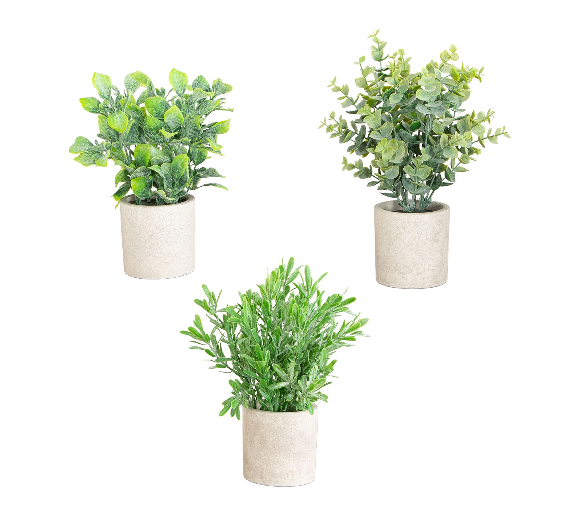 Mixed Plants in Decorative Planter - Set of 3 by Nearly Natural