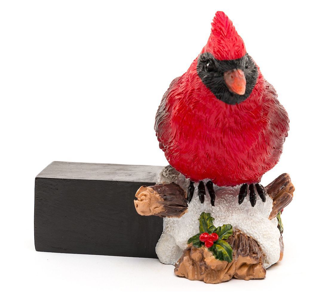 Potty Feet Full Color Red Cardinal Bird (Set of3)