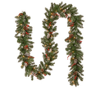 National Tree Company 9' Spruce Garland with Clear Lights