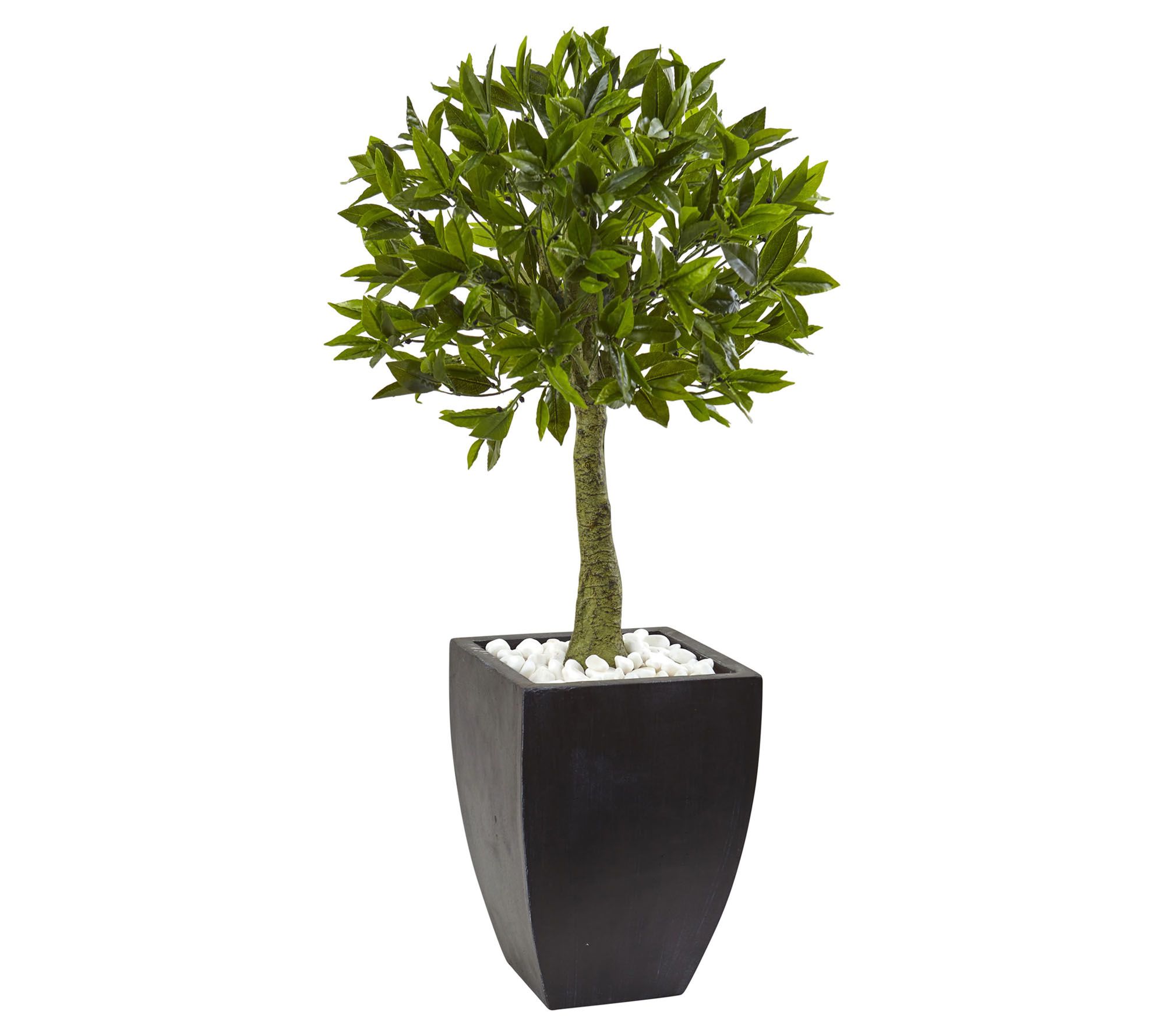 3.5' Bay Leaf Tree with Black Planter by NearlyNatural