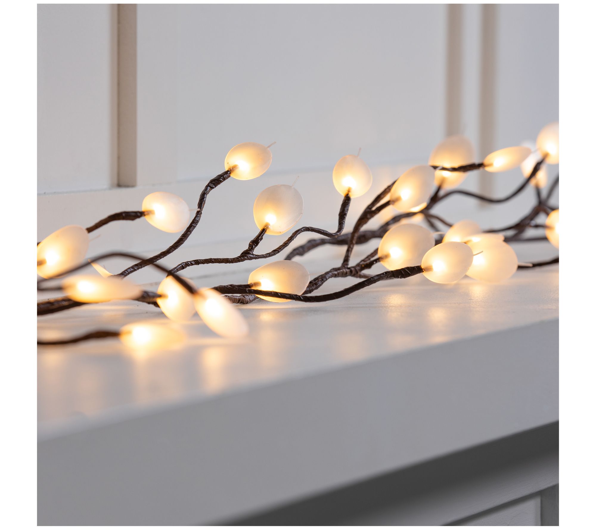 Evergreen Indoor/Outdoor LED Silver Dollar Garl and