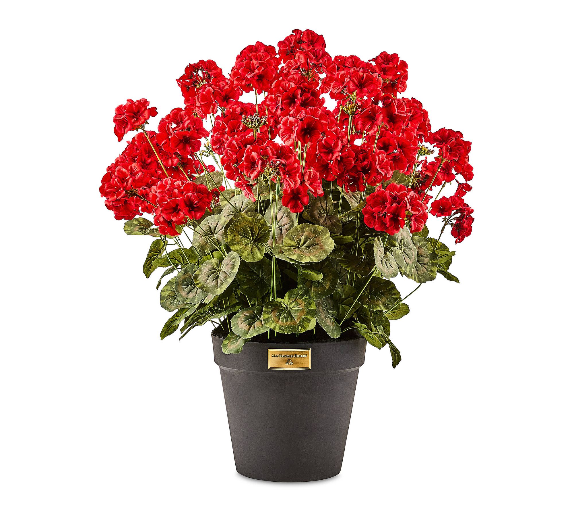 MacKenzie-Childs Geranium Urn Filler