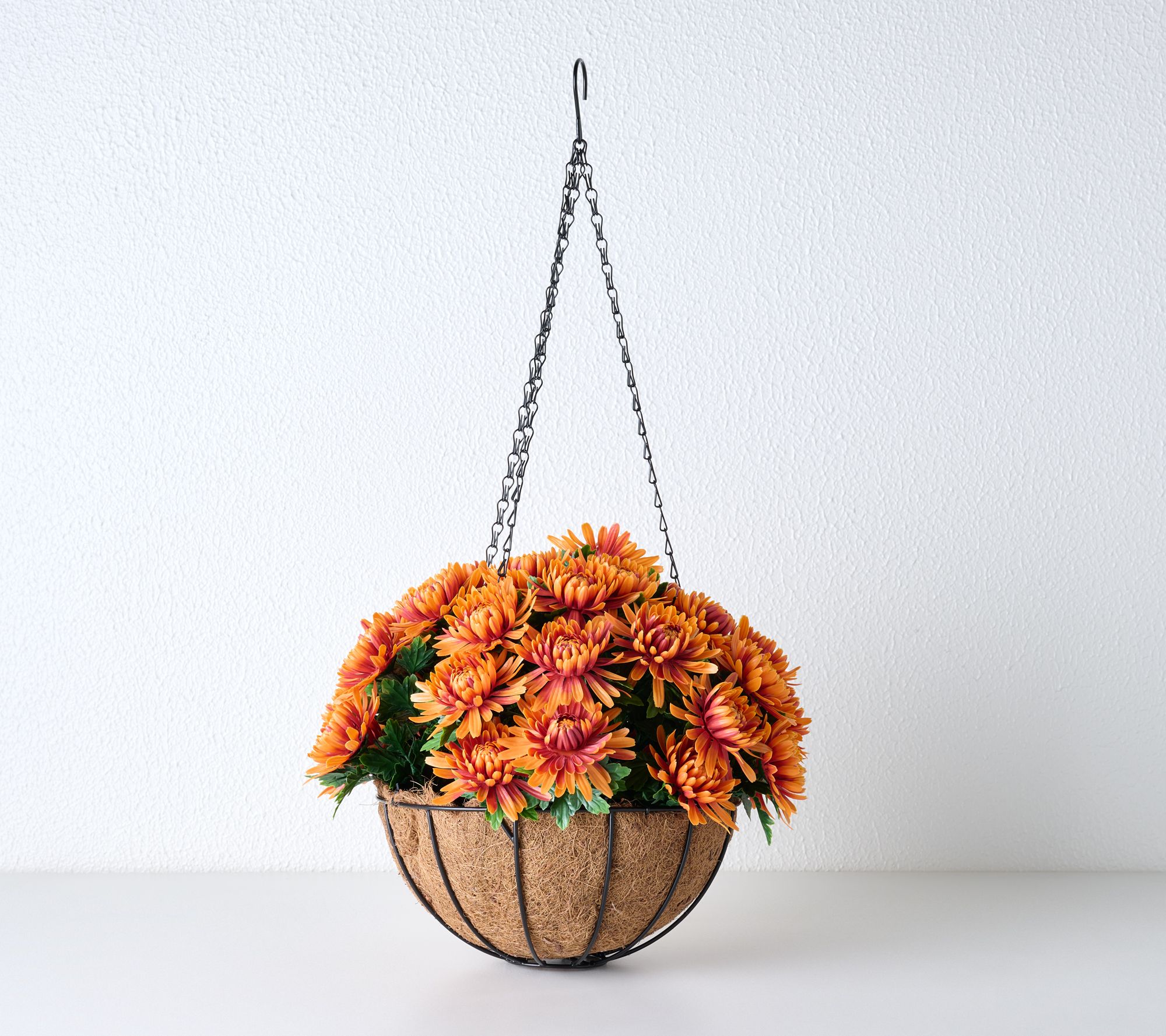 Wicker Park 16" Chrysanthemum Hanging Basket