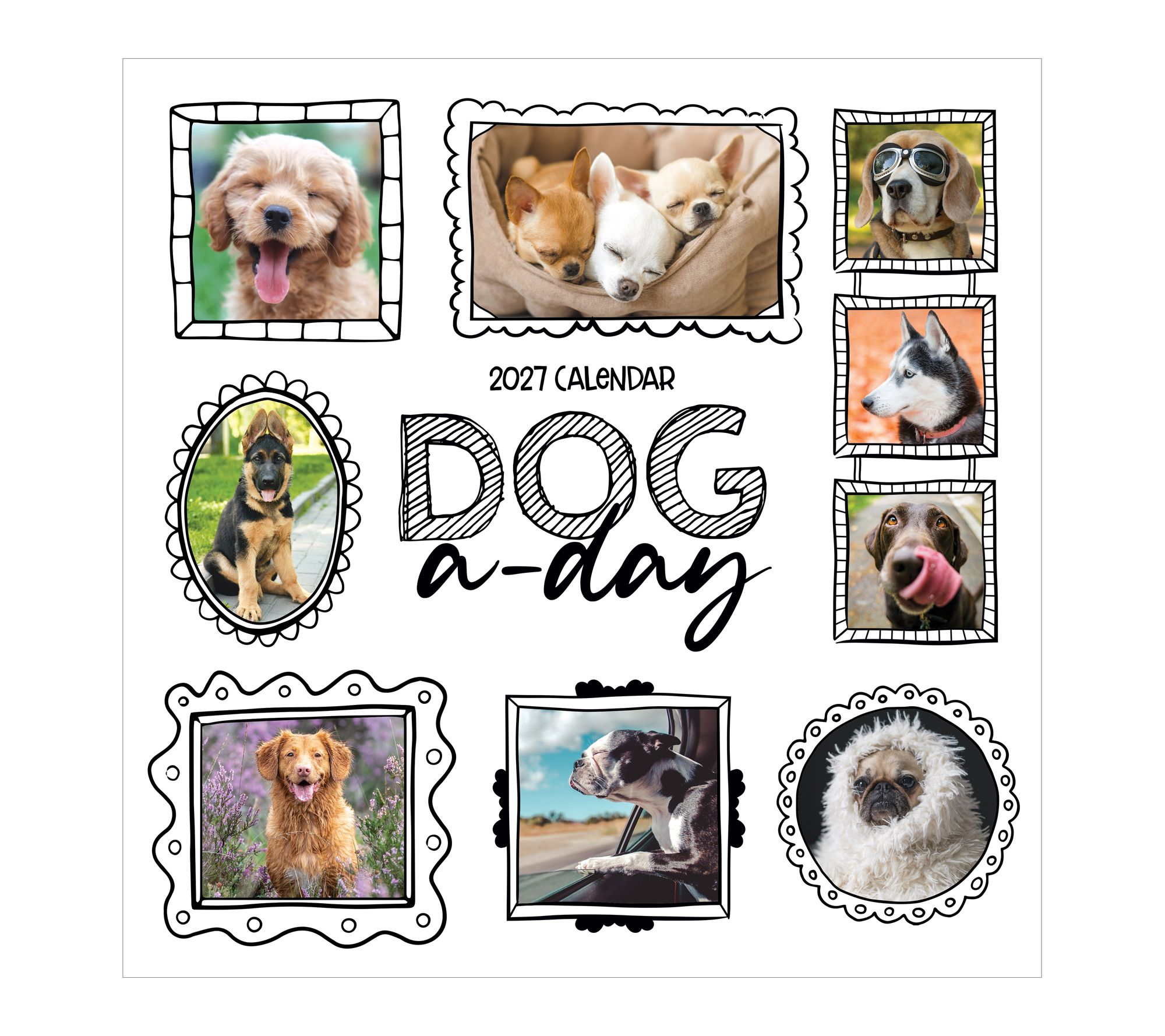 TF Publishing 2027 Dog A Day Wall Calendar